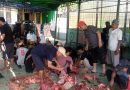 Idul Adha 1447 H, Warga RT 01/02 RW 08 Kelurahan Pondok Rajeg Gelar Penyembelihan Hewan Kurban